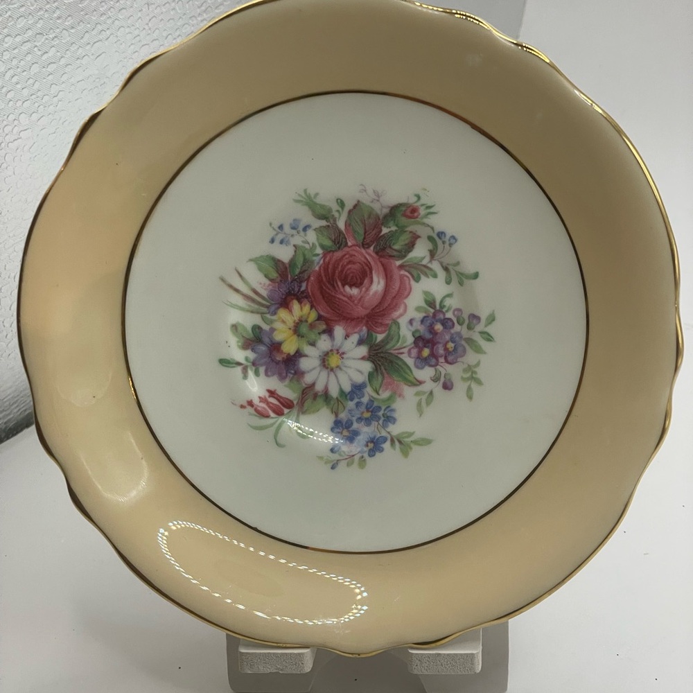 Paragon saucer